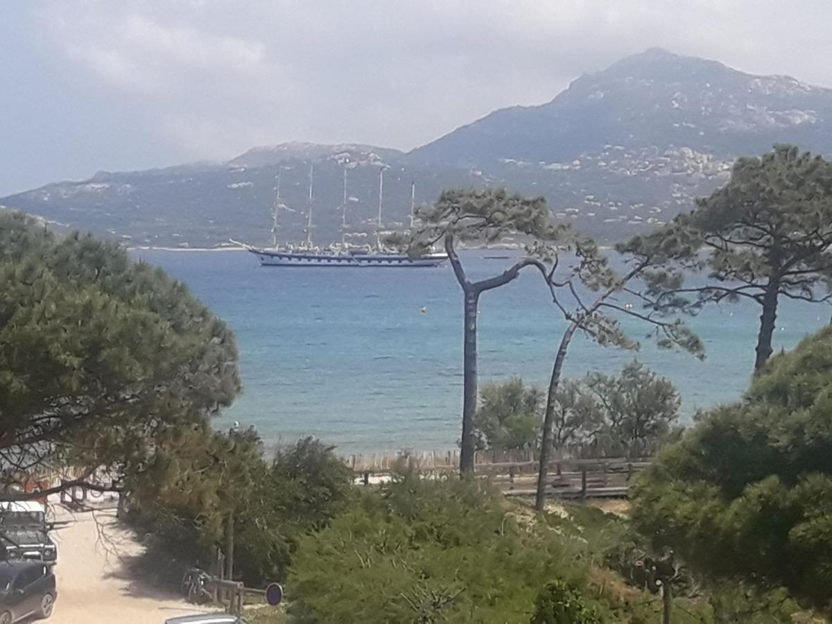 residence caroline calvi direct plage Exterior foto